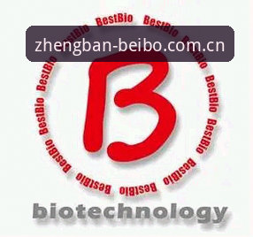 贝博体育平台深度评测：贝博是真的吗？从技术角度全面解析